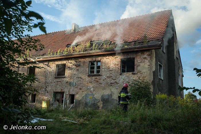 pozar-pustostanu-to-podpalenie-foto-48227