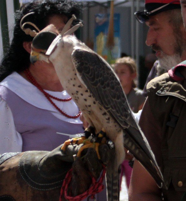 hubertus-na-placu-ratuszowym-swietowali-mysliwi-foto-48273