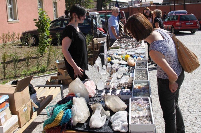 szukali-mineraow-i-skamieniaosci-na-szczescie-foto-48278
