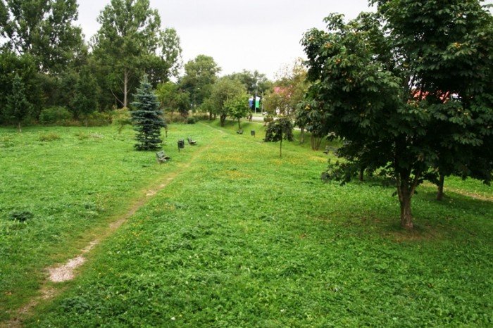 kiedy-wymienia-poamane-awki-foto-48291