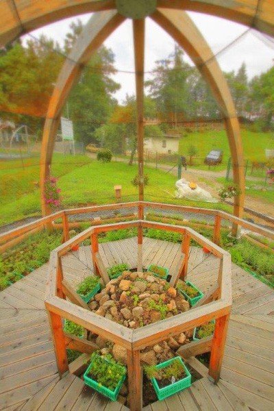 motylarnia-i-zywy-bank-genow-w-jagniatkowie-foto-48303