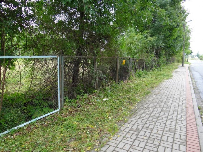 cos-sie-dzieje-na-basenie-w-sobieszowie-foto-48397