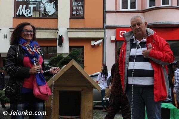 akcja-na-majowce-zdejmijmy-psom-ancuchy-foto-48398