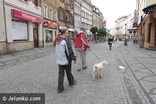 akcja-na-majowce-zdejmijmy-psom-ancuchy-foto-48398
