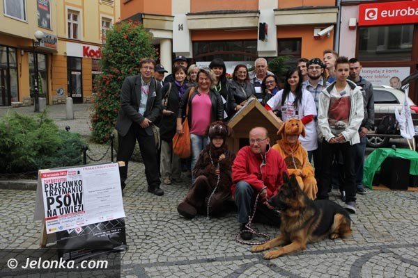 akcja-na-majowce-zdejmijmy-psom-ancuchy-foto-48398