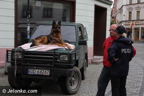 akcja-na-majowce-zdejmijmy-psom-ancuchy-foto-48398