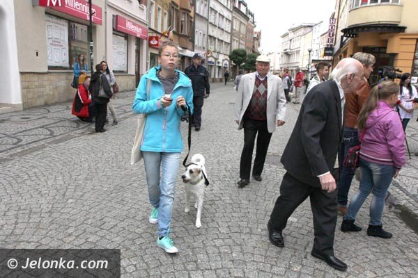 akcja-na-majowce-zdejmijmy-psom-ancuchy-foto-48398