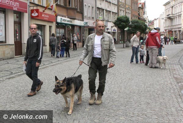akcja-na-majowce-zdejmijmy-psom-ancuchy-foto-48398