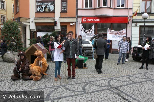 akcja-na-majowce-zdejmijmy-psom-ancuchy-foto-48398