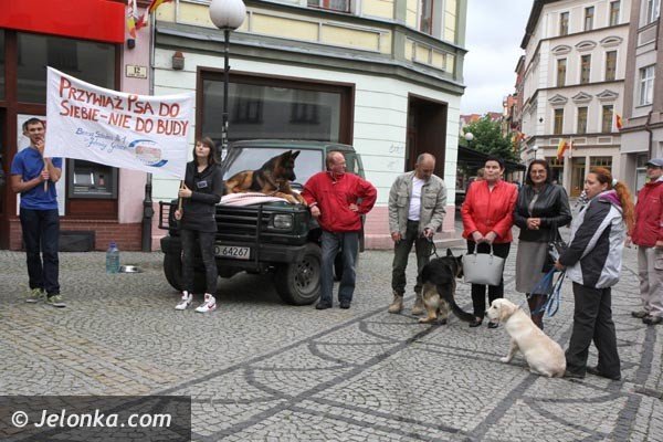 akcja-na-majowce-zdejmijmy-psom-ancuchy-foto-48398