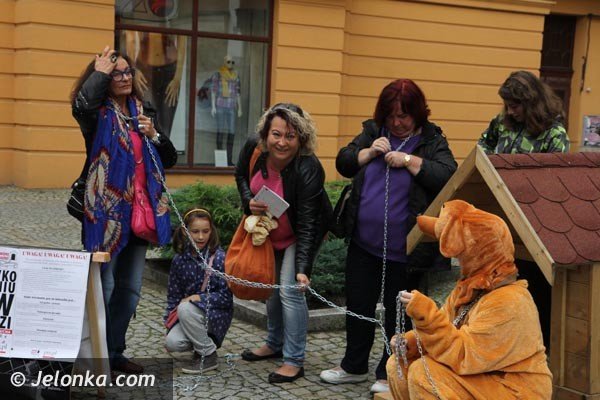 akcja-na-majowce-zdejmijmy-psom-ancuchy-foto-48398