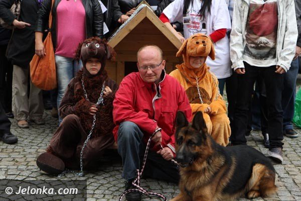 akcja-na-majowce-zdejmijmy-psom-ancuchy-foto-48398