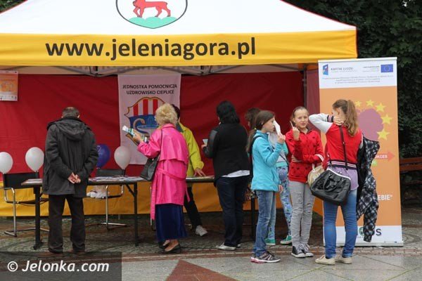 festyn-o-rodzicielstwie-zastepczym-ale-nie-tylko-foto-48400