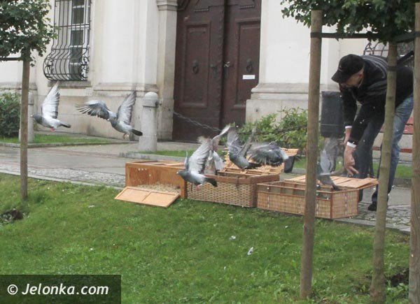 festyn-o-rodzicielstwie-zastepczym-ale-nie-tylko-foto-48400