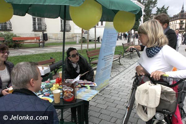 festyn-o-rodzicielstwie-zastepczym-ale-nie-tylko-foto-48400