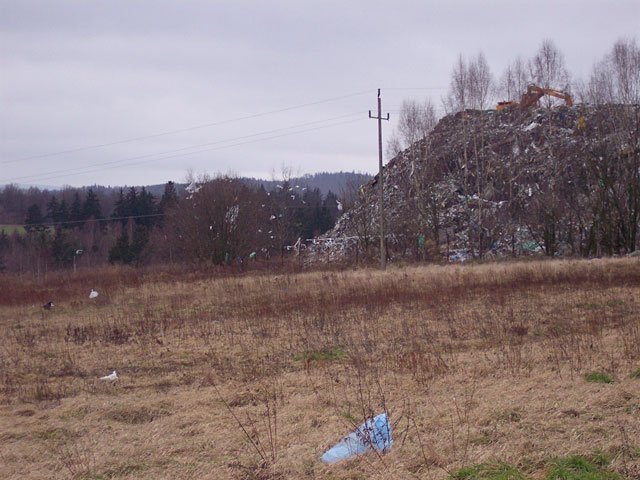 Rosnąca hałda odpadków fatalnie wpływa nie tylko na krajobraz okolic Siedlęcina.