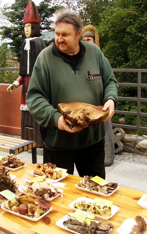 jaki-to-grzyb-o-tym-na-wystawie-w-cieplicach-48515