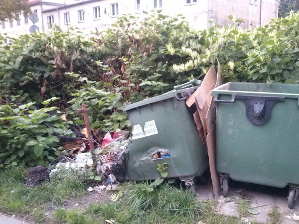 czytelnik-kto-posprzata-baagan-przy-sadowej-foto-48527