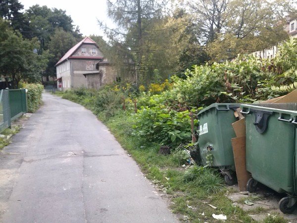 czytelnik-kto-posprzata-baagan-przy-sadowej-foto-48527