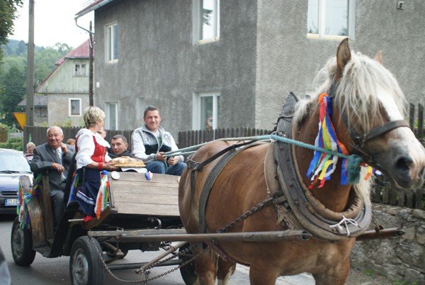 oni-wiedza-jak-powalczyc-o-pieniadze-dla-swojej-wsi-foto-48548