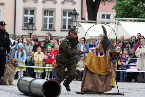 majowka-na-czterech-apach-4858