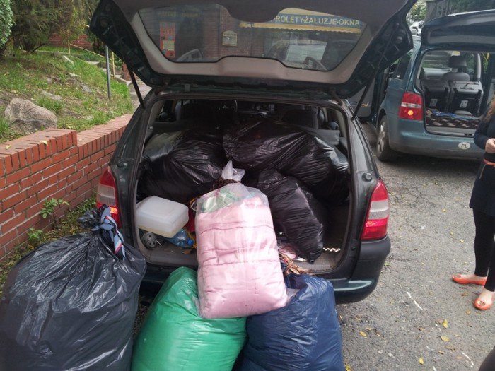 zbiorka-dla-zwierzakow-trwa-co-jest-potrzebne-foto-48610