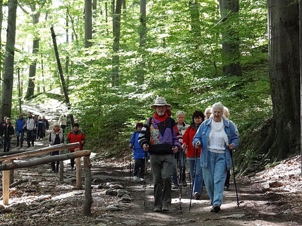 chojnik-zdobyty-w-marszu-seniora-foto-48612