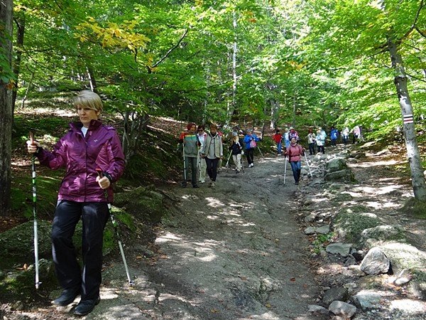 chojnik-zdobyty-w-marszu-seniora-foto-48612