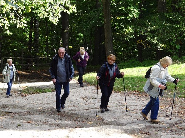 chojnik-zdobyty-w-marszu-seniora-foto-48612