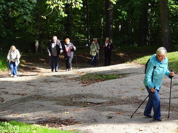 chojnik-zdobyty-w-marszu-seniora-foto-48612