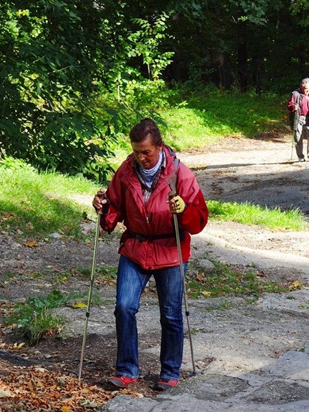 chojnik-zdobyty-w-marszu-seniora-foto-48612
