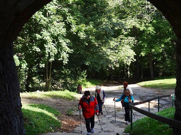 chojnik-zdobyty-w-marszu-seniora-foto-48612