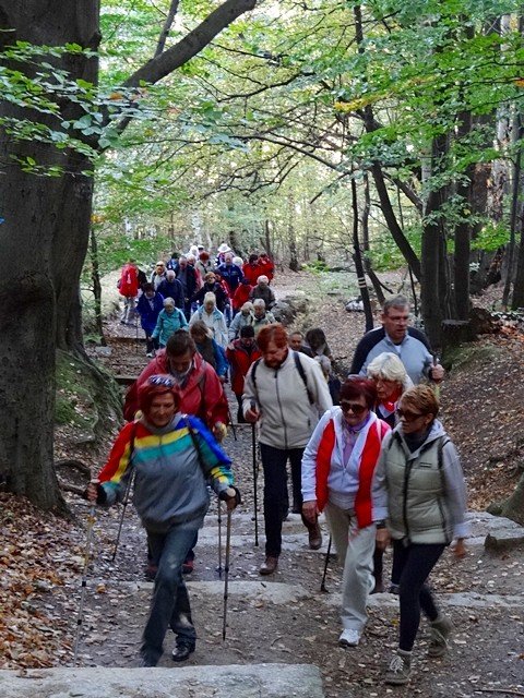 chojnik-zdobyty-w-marszu-seniora-foto-48612