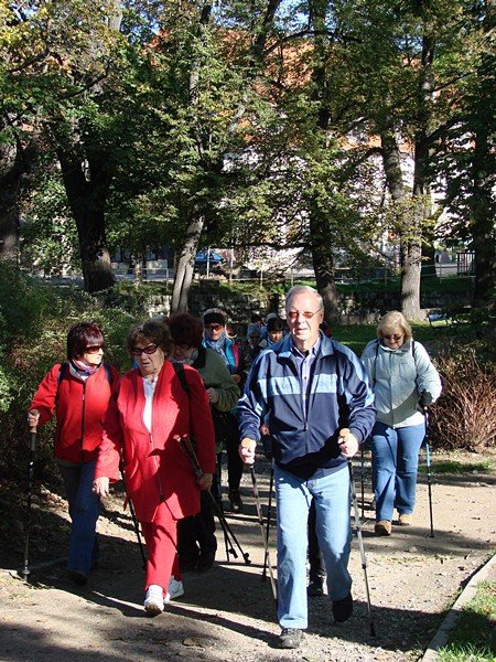 chojnik-zdobyty-w-marszu-seniora-foto-48612