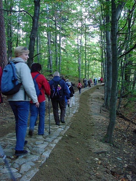 chojnik-zdobyty-w-marszu-seniora-foto-48612
