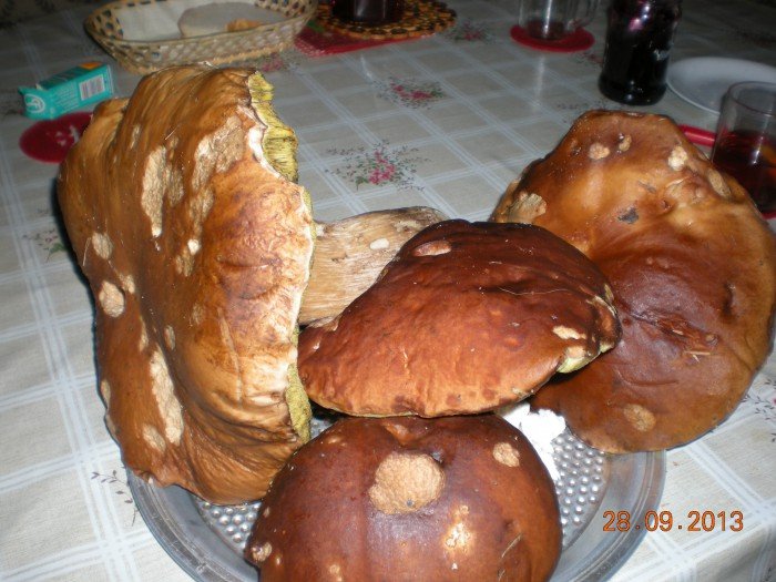 taaakie-grzyby-w-zachemiu-foto-48614
