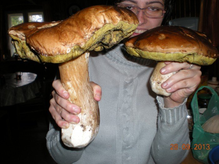 taaakie-grzyby-w-zachemiu-foto-48614