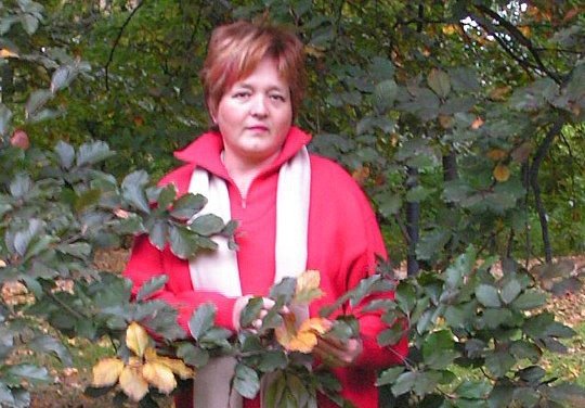 jesienne-wariacje-w-kowarach-juz-w-sobote-48664