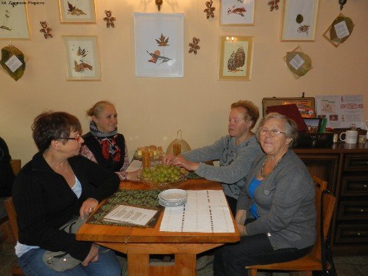 lisciaki-i-pierniki-w-goscincu-na-starowce-foto-48739