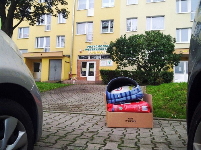 obdarowali-zwierzaki-ze-schroniska-foto-48747
