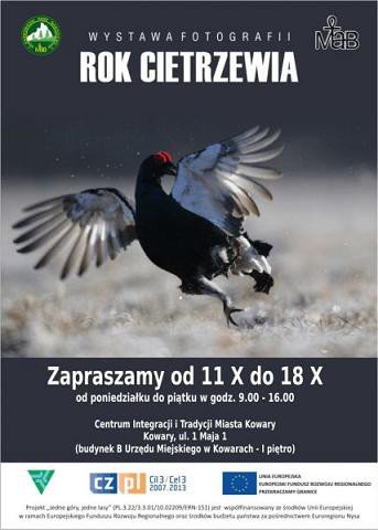 wystawa-fotograficzna-rok-cietrzewia-w-kowarach-48783