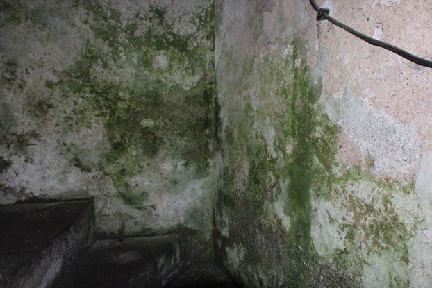 mieszkanie-komunalne-zagrzybione-ale-drogie-foto-48795