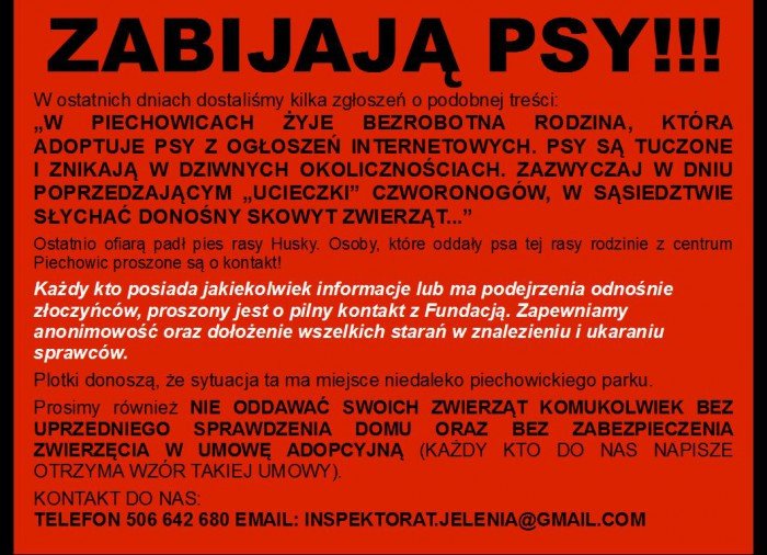tucza-psy-i-zabijaja-takie-sa-sygnay-48893