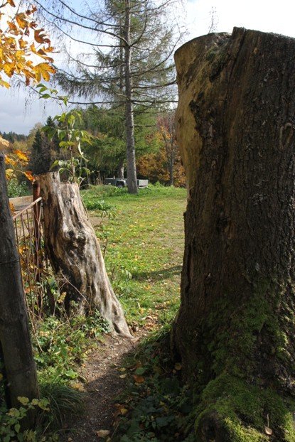zostali-bez-drogi-do-domu-ile-to-jeszcze-potrwa-foto-48958