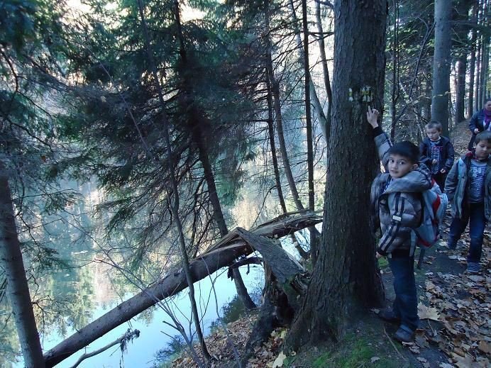 uczniowie-z-siodemkidbaja-o-zwierzeta-lesne-foto-49016