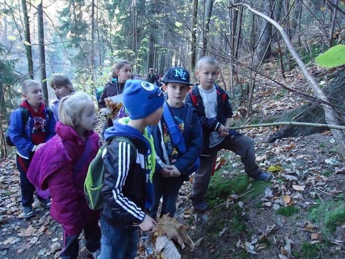 uczniowie-z-siodemkidbaja-o-zwierzeta-lesne-foto-49016