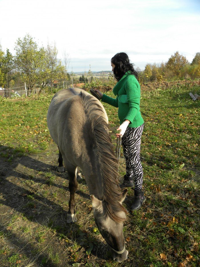 ludzie-ze-skalnego-mostu-pomagaja-od-trzech-lat-foto-49048