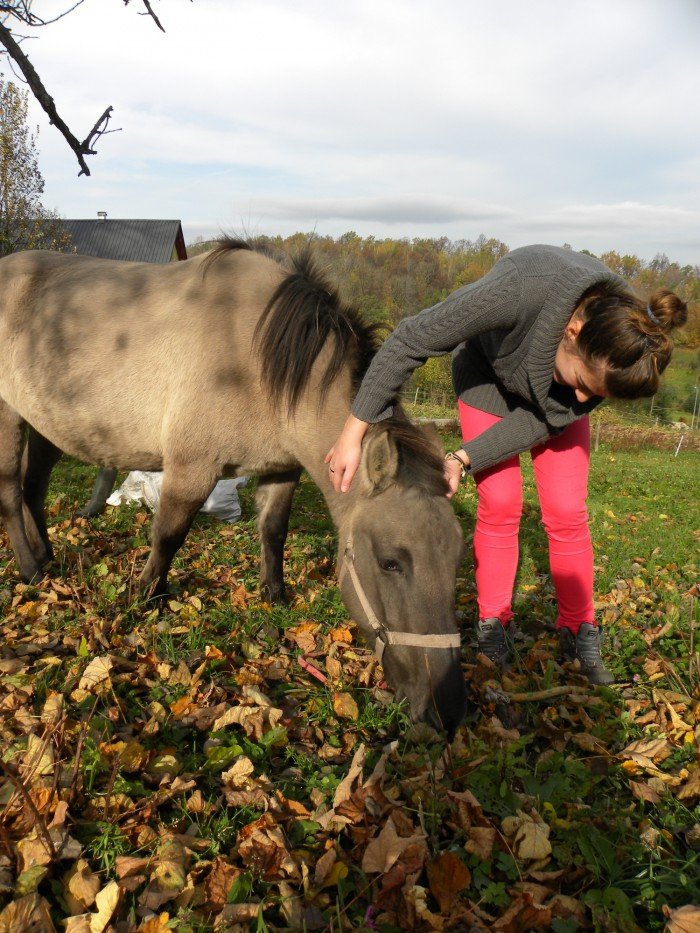 ludzie-ze-skalnego-mostu-pomagaja-od-trzech-lat-foto-49048