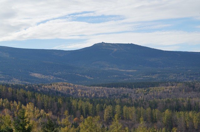 uczcili-swiatowy-dzien-marszu-w-michaowicach-foto-49119