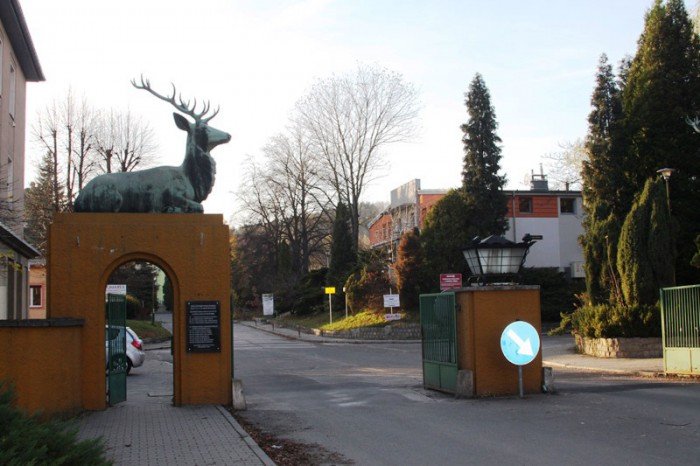 osiedle-pod-jeleniami-juz-bez-wielkich-dziur-foto-49159